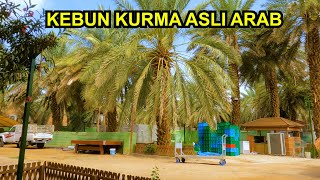 Download Lagu RAMAINYAA !! JAMAAH UMRAH INDONESIA DI KEBUN KURMA| WISATA SAMBIL BELANJA MP3