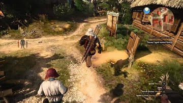 The Witcher 3 : The walking bug !