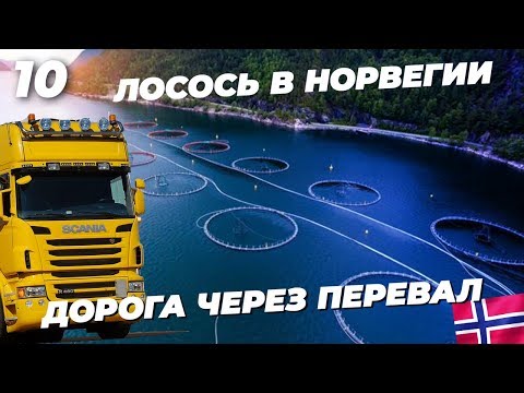 Дорога через перевал Берген - Осло. Как выращивают лосось в Норвегии