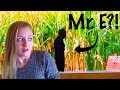 We Saw Mr. E At The Corn Maze!!
