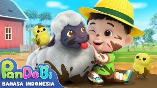 Aku Suka Bermain Bersama Domba Kecil | Lagu Hewan Anak | Lagu Anak | Super Pandobi Bahasa Indonesia