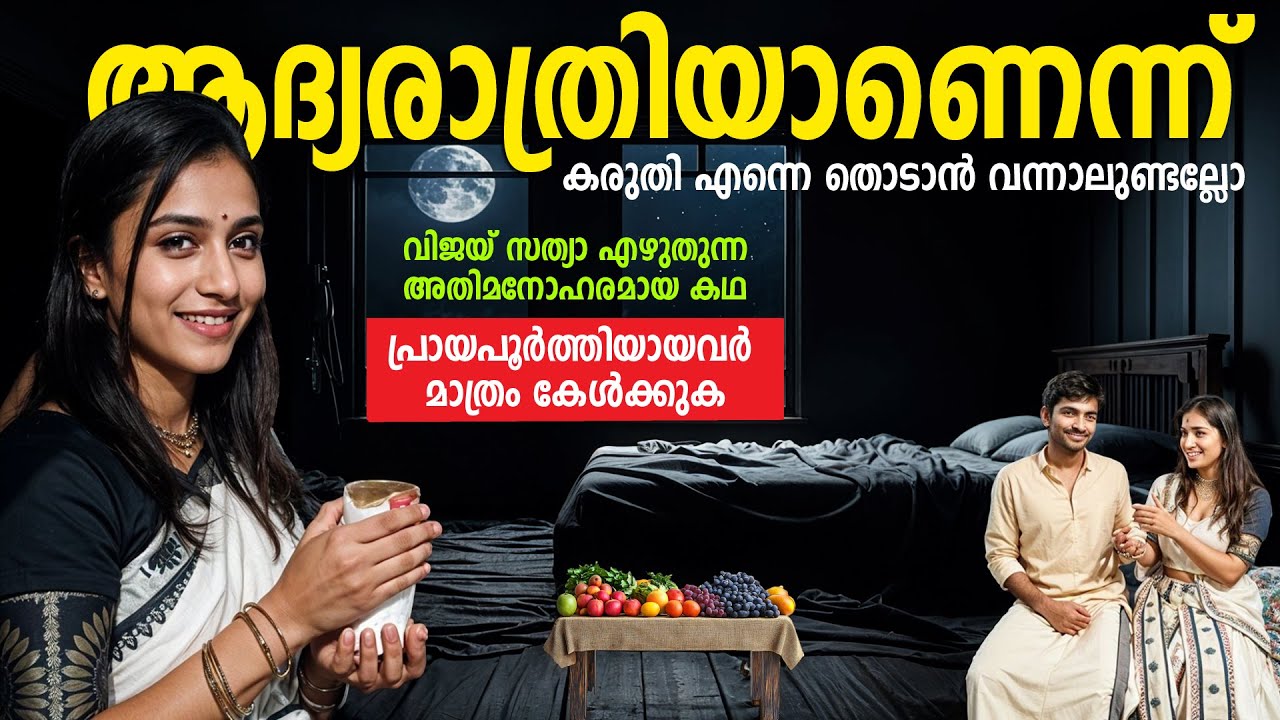 ആദ്യരാത്രിയാണെന്ന് കരുതി എന്നെ തൊടാൻ വന്നാലുണ്ടല്ലോ  VIJAY SATHYA | SHAHUL MALAYIL MALAYALAM STORY