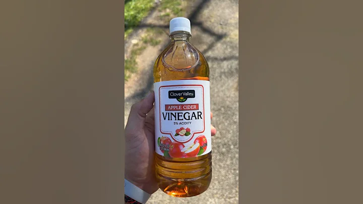 How to get rid of yellow jackets!