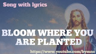 Video thumbnail of "BLOOM WHERE YOU ARE PLANTED || HYMN OCEAN_COVER SONG_DEVOTIONAL_PRAYER SONG WITH LYRICS_"