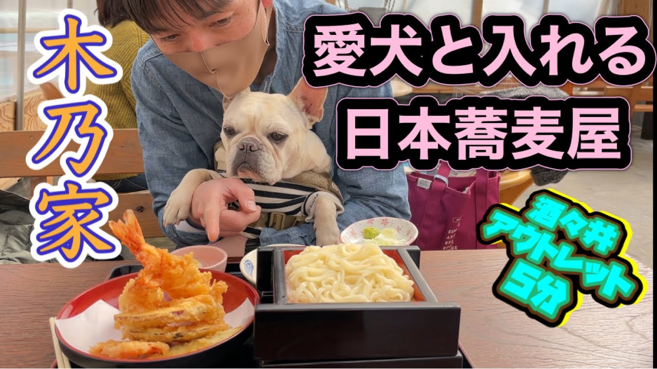 酒々井アウトレットから5分、愛犬と一緒に入れる日本蕎麦屋[木乃家]