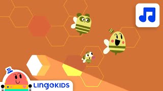 BABY BOT Knows BEES   Cartoons for Kids | Lingokids | S1.E9