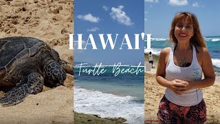 Turtle Beach in Hawai'i & Local Eatz- The Musubi by Cruising Foodies 8,706 views 2 years ago 4 minutes, 3 seconds