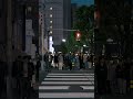 OIMACHI at Dusk: OIMACHI TRACKS, Tokyo Walk | Short Preview