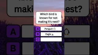 Which bird is known for not making it's nest? #shorts #usa #quiz