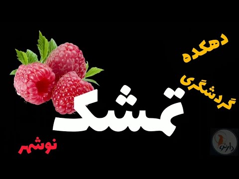 دهکده گردشگری تمشک نوشهر