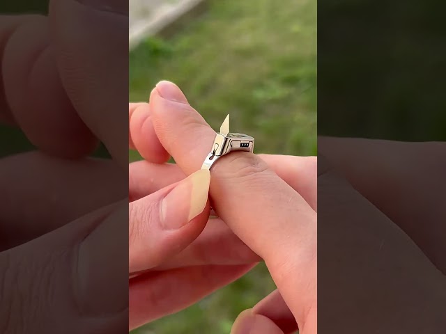 What do you think?