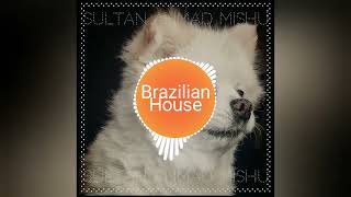 DJ mishu bk - Brazilian house mix
