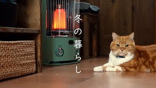 冬の暮らし/手作りピザとかぼちゃのシチュー/刺繍/猫【暮らしのVlog】