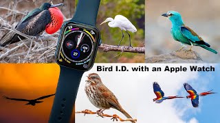 Bird Song ID with an Apple Watch