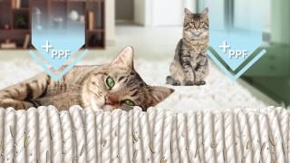 Effipro Duo Spot On Kat Virbac