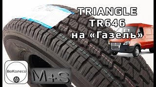 : Triangle TR646 ///     [M+S]