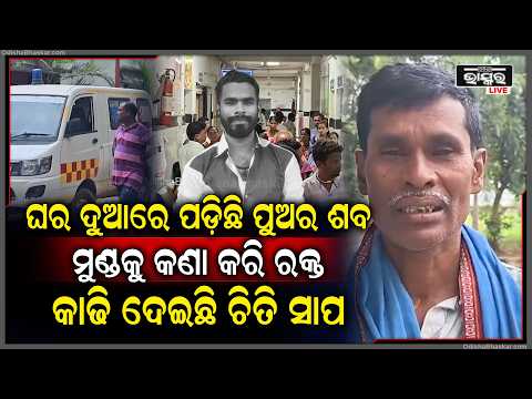 ଶୋଇଥିବା ବେଳେ ଚିତ୍ତି ସାପ କାମୁଡ଼ାରେ ଯୁବକଙ୍କ ମୃତ୍ୟୁ, କାନ୍ଦି ଗଡିଯାଉଛନ୍ତି ପରିବାର ଲୋକେ...