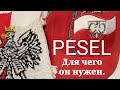 PESEL в ПОЛЬШЕ . Для чего он нужен и как он мне пригодился. Как правильно снимать квартиру