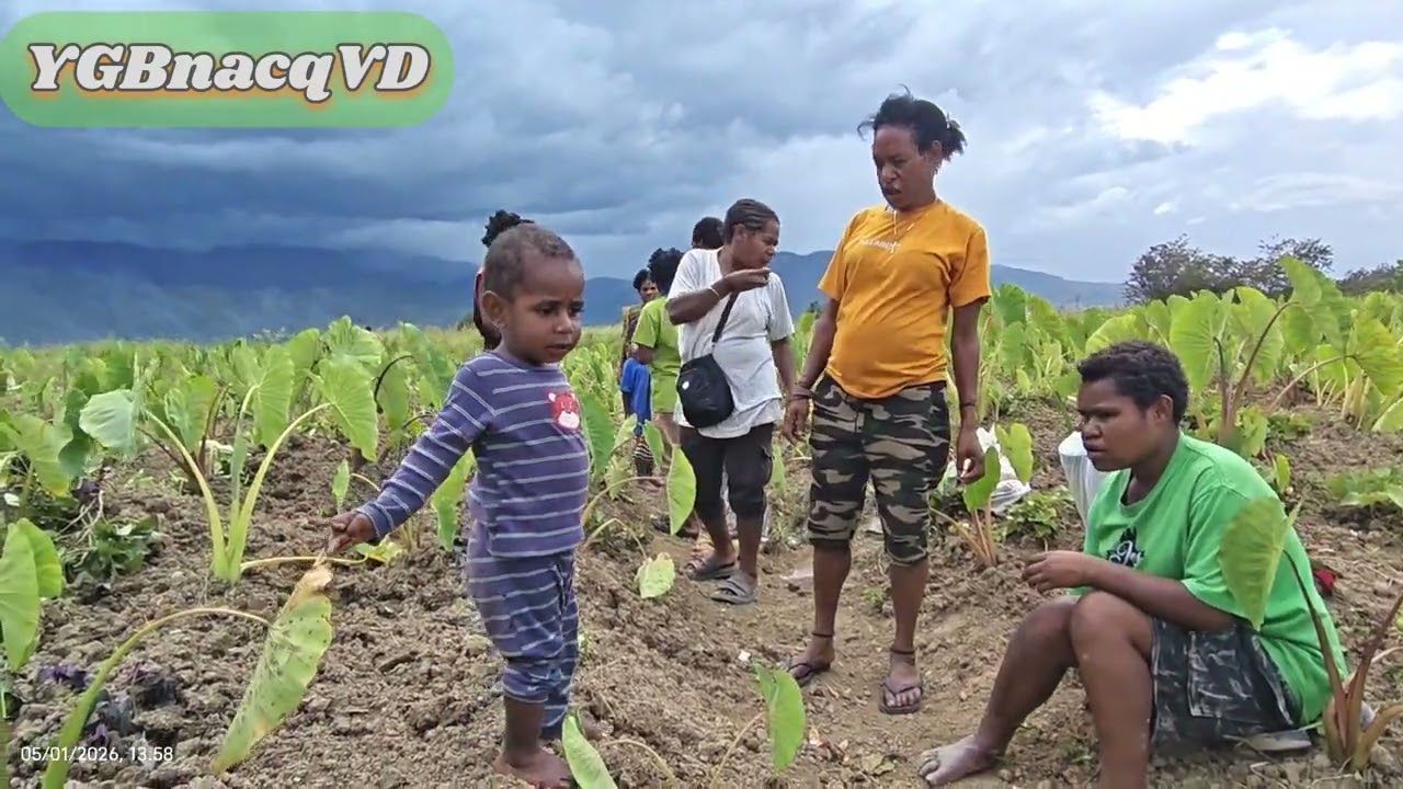 Ceria harian 💜🎸