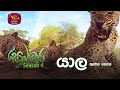 Sobadhara - Sri Lanka Wildlife Documentary | 2020-06-26 | Yala - 3 (යාල -3)