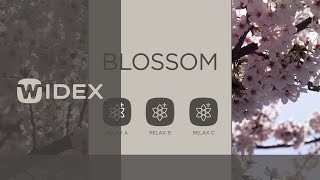 Widex SoundRelax™ Fractal Tone - Blossom | Widex Moment hearing aids screenshot 4