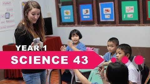 Year 1 Science, Lesson 43, Healthy Habits Part 2