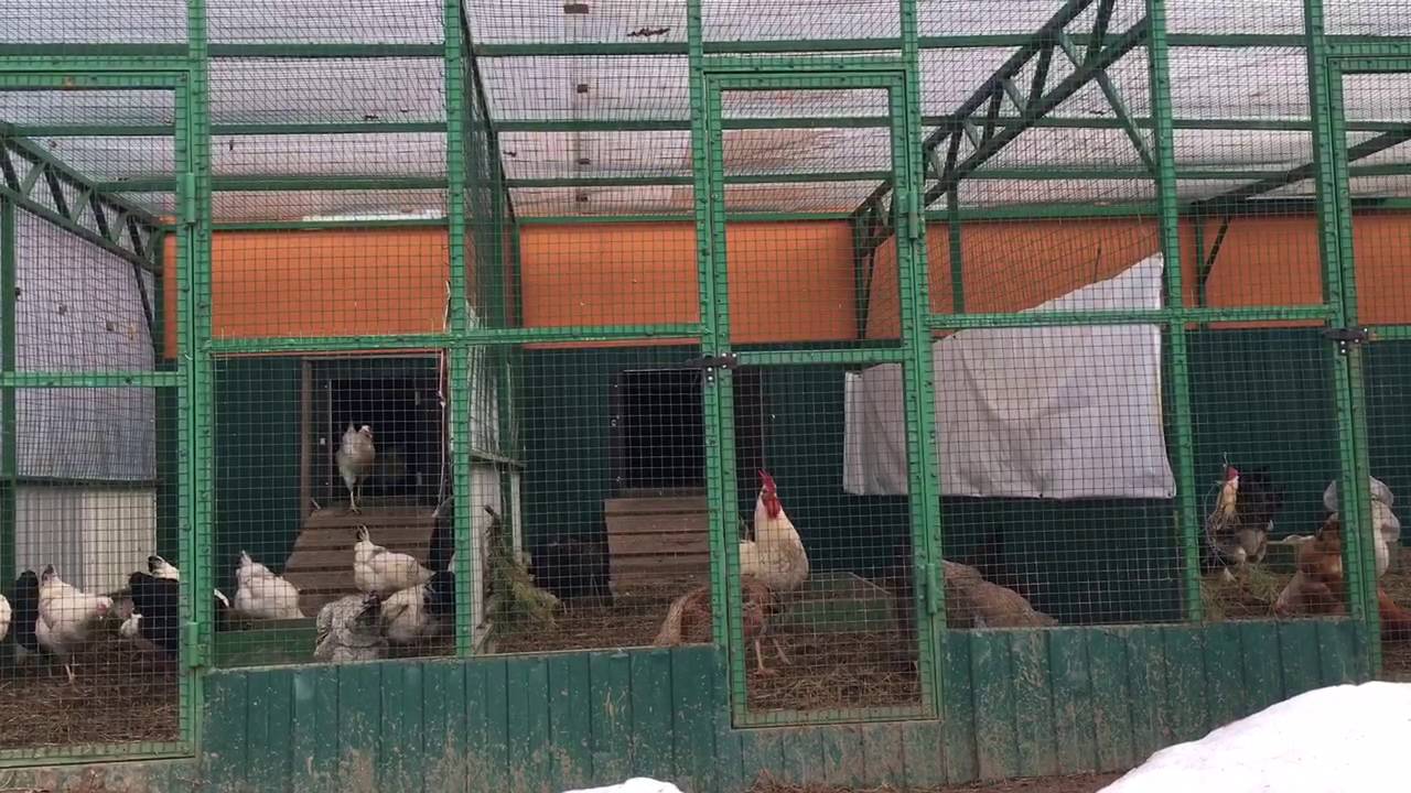 Юрловские
