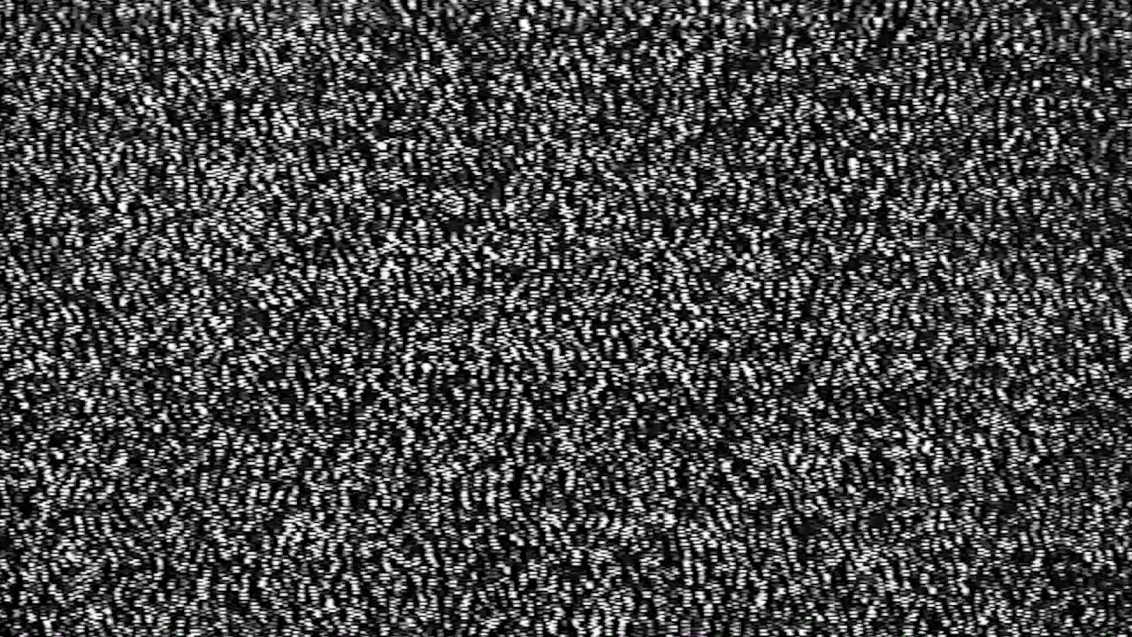 белый шум. белый шум 2005 постер. белый шум. белый шум текстура.