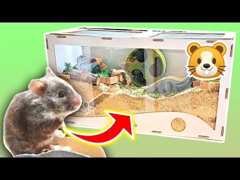 Hamster Käfig einrichten🐹 PimpmyHAMSTERKÄFIG 🎬 Artgerechte Hamsterhaltung 🐾 Eigener Shop ⚒️