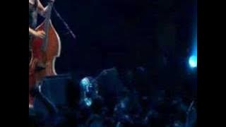 Stray Cats Strut live in Brixton