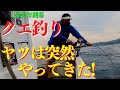 アラ（クエ釣り）高級魚クエ❕狙うは30キロオーバー❕記録更新に挑む❕