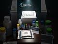 Detect Antibiotic Residues in Livestock Feed | FFC ELISA Test Kit - ScignoHub