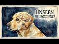 5 Things Dogs Do ONLY for Their Favorite Human Most People Never Notice