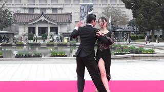 アルゼンチンタンゴ Argentina Tango　Nana&Kaito  さん / TOKYO DANCE FESTIVAL