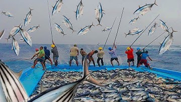 🤩 Full video catching 30 tons of skipjack tuna in 35 mins 🤩🤩