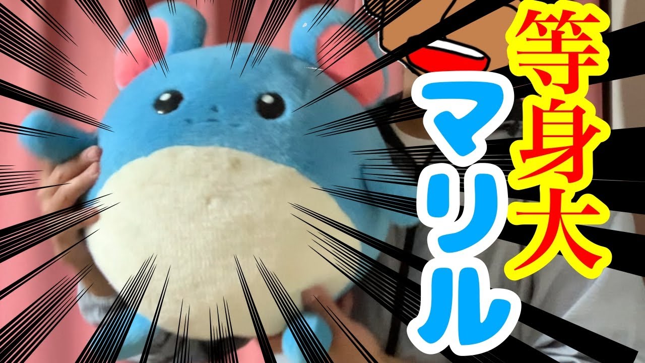 お宝]等身大マリルのぬいぐるみを手に入れた！[再UP] - YouTube