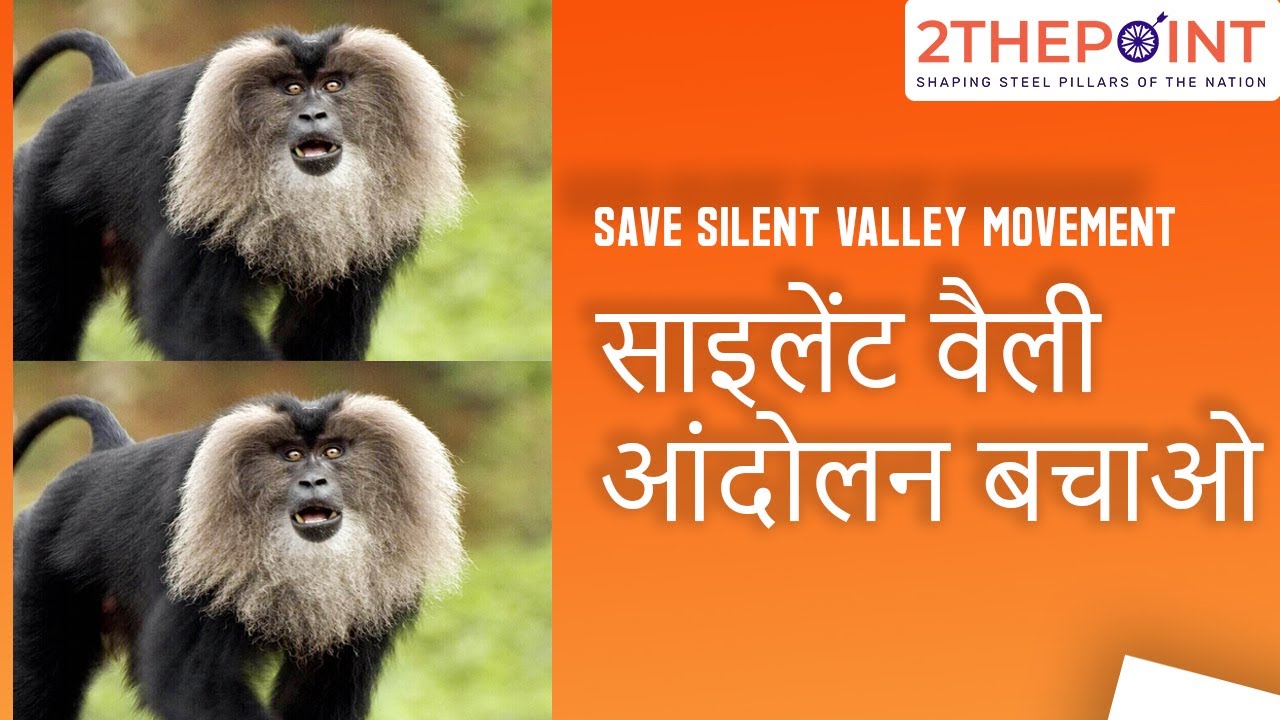 Silent Valley Movement