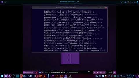Install EndeavourOS Artemis Full Deepin Desktop using terminal.