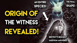 Destiny 2 - THE ORIGIN OF THE WITNESS REVEALED! What The Witness Actually Is!