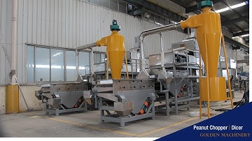Peanut chopper machine test for Russia customer | How does peanut chopping machine work