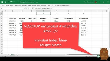 Excel VLOOKUP หลายคอลัมน์ สำหรับมือใหม่ ตอนที่ 2/2 ใช้สูตร MATCH ช่วยหาคอลลัมน์ INDEX ให้ได้เลย