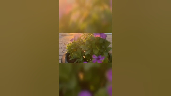 صباح الخير والرضا🤍🍃 رأيكم يهمني وقولولي بتقضوا الصبح مع مين وبتعملوا اول حاجة لماتصحوا