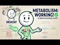The Weight Loss Truth Nobody Wants to Admit