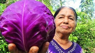 Village Foods - Cooking Purple Cabbage (Red Cabbage) by my Mom / Village Life
