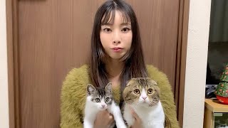 ご報告があります。【パパ猫・子猫】