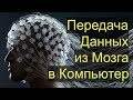 Передача Данных из Мозга в Компьютер