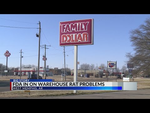 Over 1,000 rodents found at Family Dollar distribution center