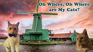 Download Lagu I Must be DAFT Ep 7: I Moved to the Netherlands and Lost My Cats! MP3