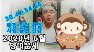 【신점으로 보는 2020년 6월 양띠운세】※귀신잡는 큰형님※#용궁당 #대전용한점집 #유성★