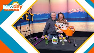 Celebrity Ciscoe Morris says this is the only type of Iris he’ll allow in his garden - New Day NW Net Worth